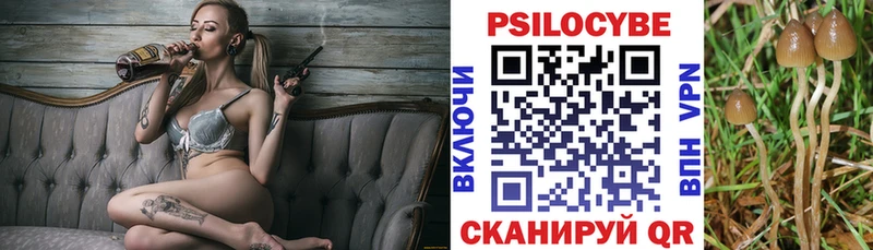 Галлюциногенные грибы Psilocybe  Орск 